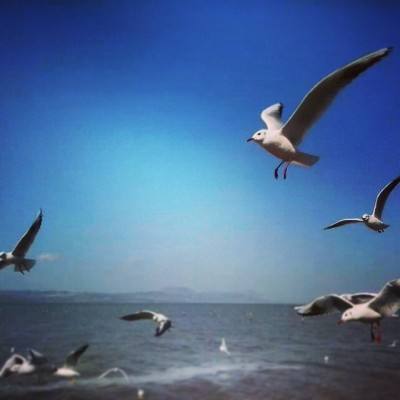 梦想江湖果盘版下载